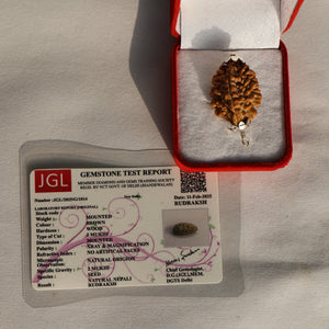 Pokhramani 2mukhi Rudraksha