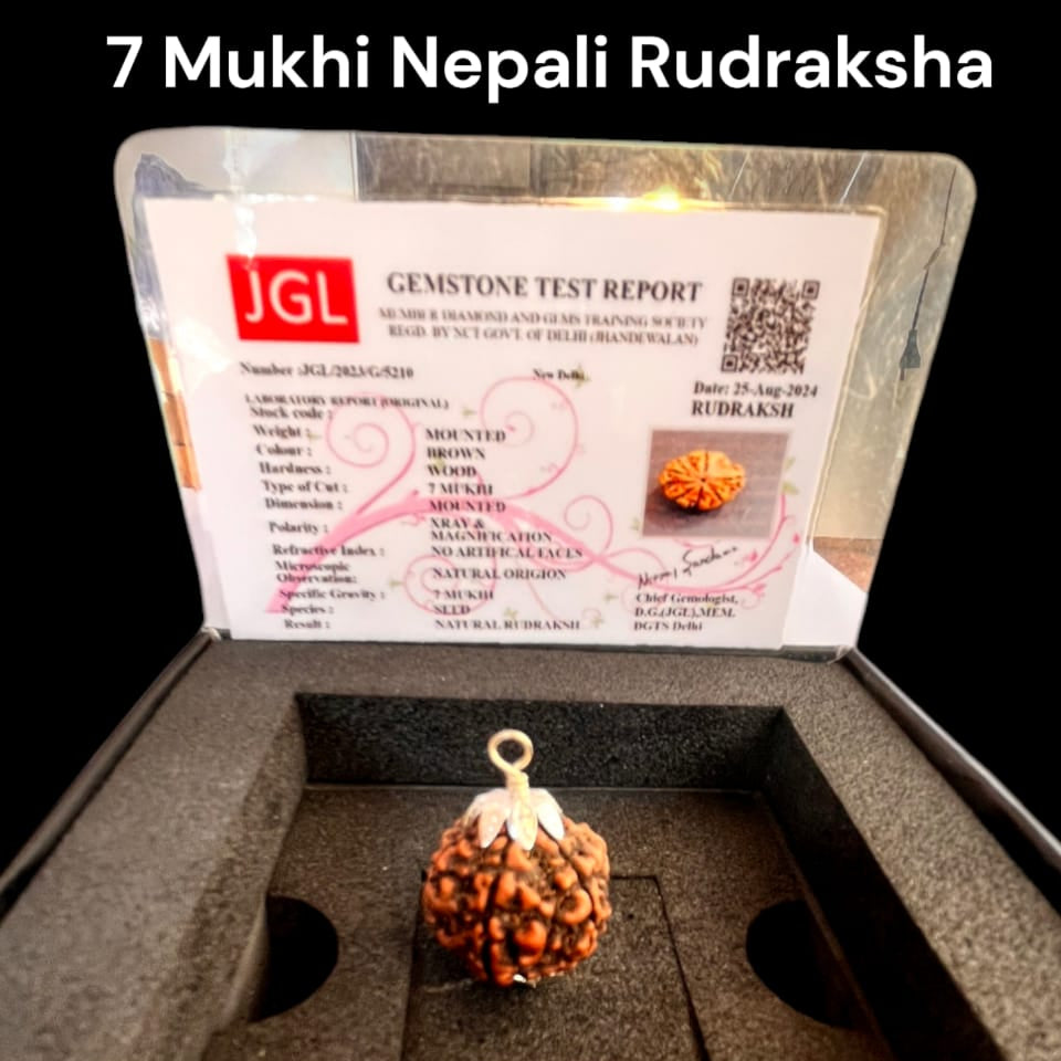 Pokhramani_7_Mukhi_Rudraksha