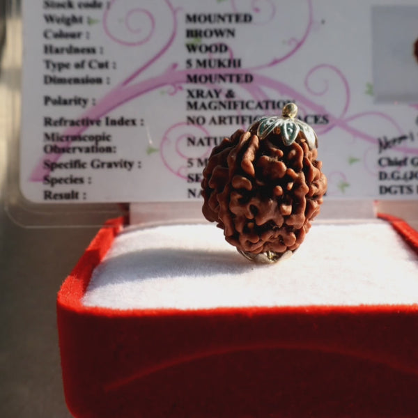 Abhimantrit Pokhramani Panchmukhi Rudraksha With JGL Lab Certificate | 5 Mukhi Rudraksha |5 मुखी रुद्राक्ष नेपाली | Jyotishbazaar